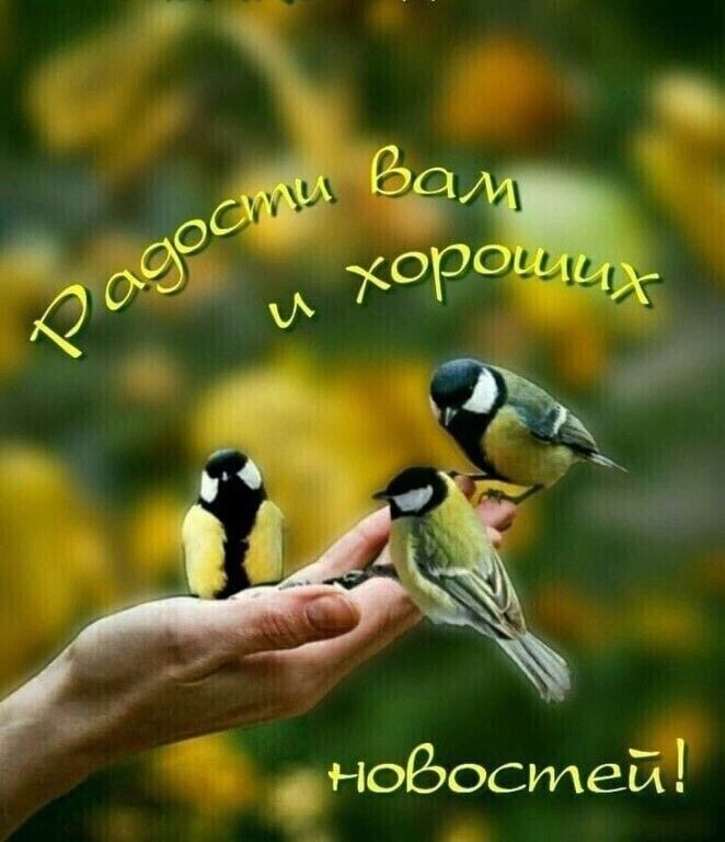 _ небосьпей