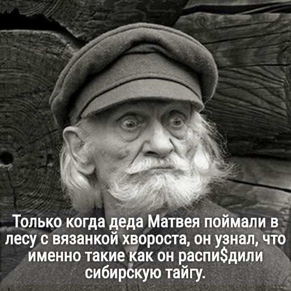 _ _ _ч Зет _Трлькр когда деда Матвея пои див лесуіс вязанкойхвороста онуэнал5й именно такиеіак он распиди сибирёкую тайгу