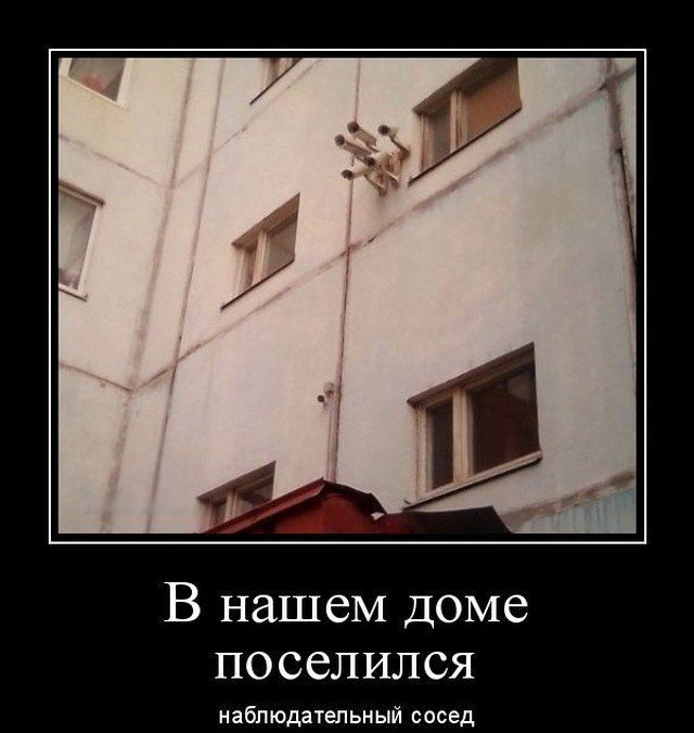 В нашем доме поселился наблюдательный сосед