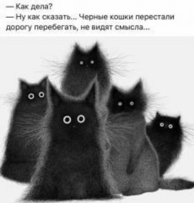дг па апп Чгрг ыг ш перешли пару переднем не видал тыща