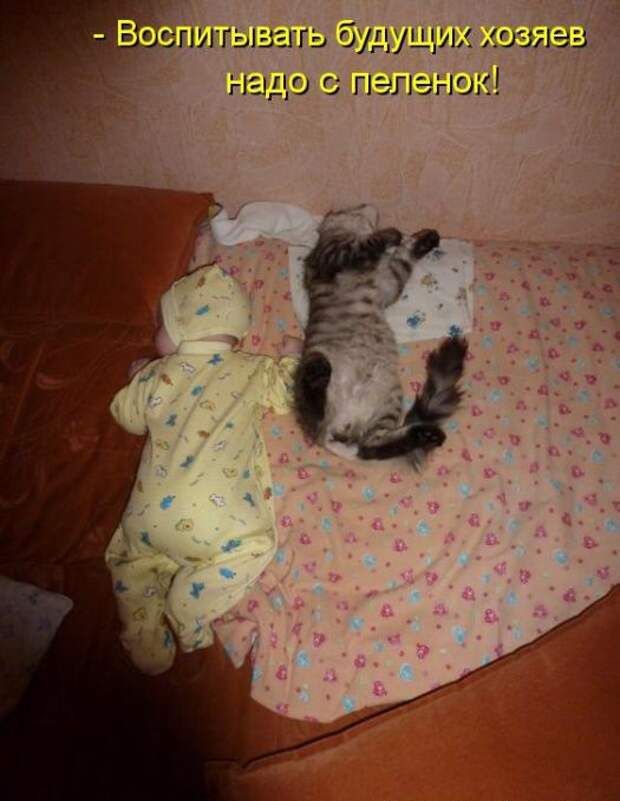 Й ч эспиты!вать будущижжхозяев надос пеленоки