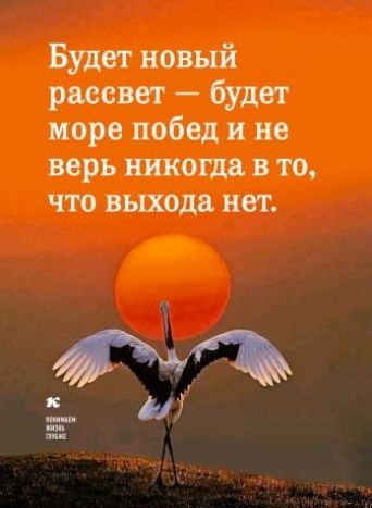 Будет новый рассвет будет море побед и не верь никогда в то что выхода нет и
