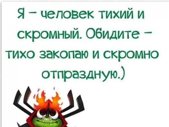 Я человек тихий и скромный Обидите тихо закопаю и скромно отпраздную и