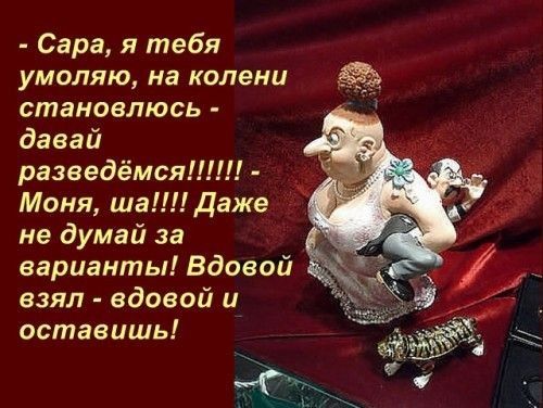 Сара я тебя УМОЛЯЮ на колени становлюсь давай разведёмся Моня ша Даже не думай за варианты вдовой взял вдовой и оставишь