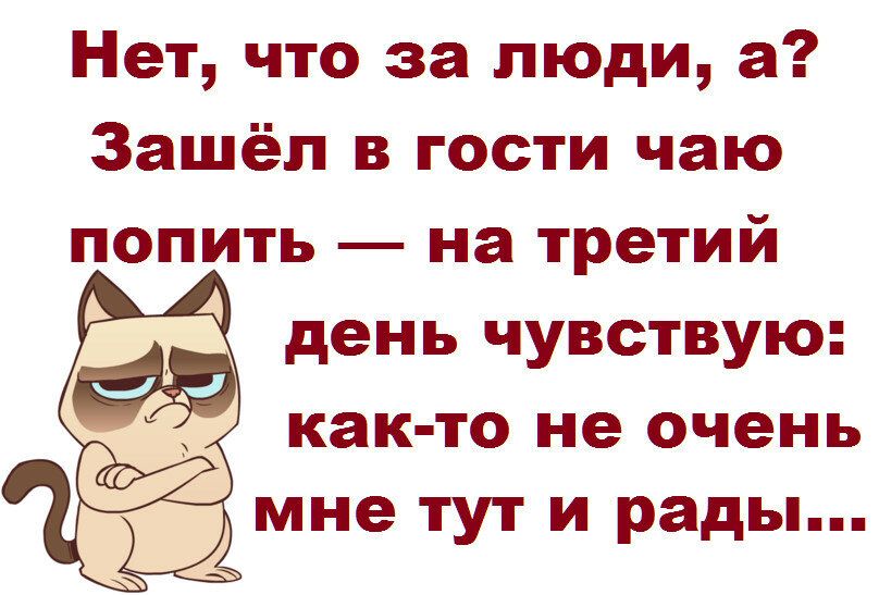 Нет что за люди а Зашёл в гости чаю попить на третий день чувствую как то не очень мне тут и рады
