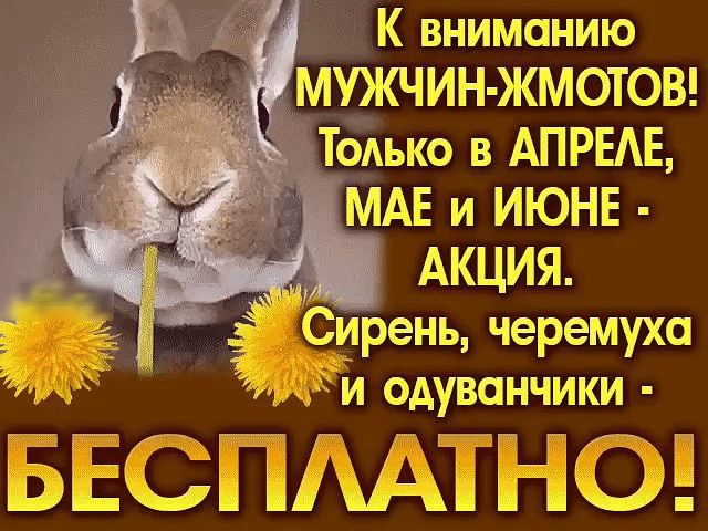 К вниманию __ МУЖЧИН ЖМОТОВ Т0Аько в АПРЕАЕ МАЕ и ИЮНЕ АКЦИЯ сирень черемуха и одуванчики БЕСПААТНО