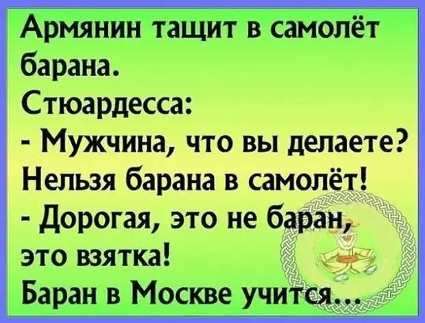 Армянин тащит в самолёт барана. Стюардесса:  мужчина, что вы делаете? Нельзя барана в самолёт!  Дорогая, это не баран это взятка!  Е баран в москве учится...