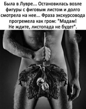 Была в Лувре Остановилась возле фигуры с фиговым листом и долго смогрела на нее Фраза экскурсовода прогремела как гром Мадам Не ждие листопада не будет