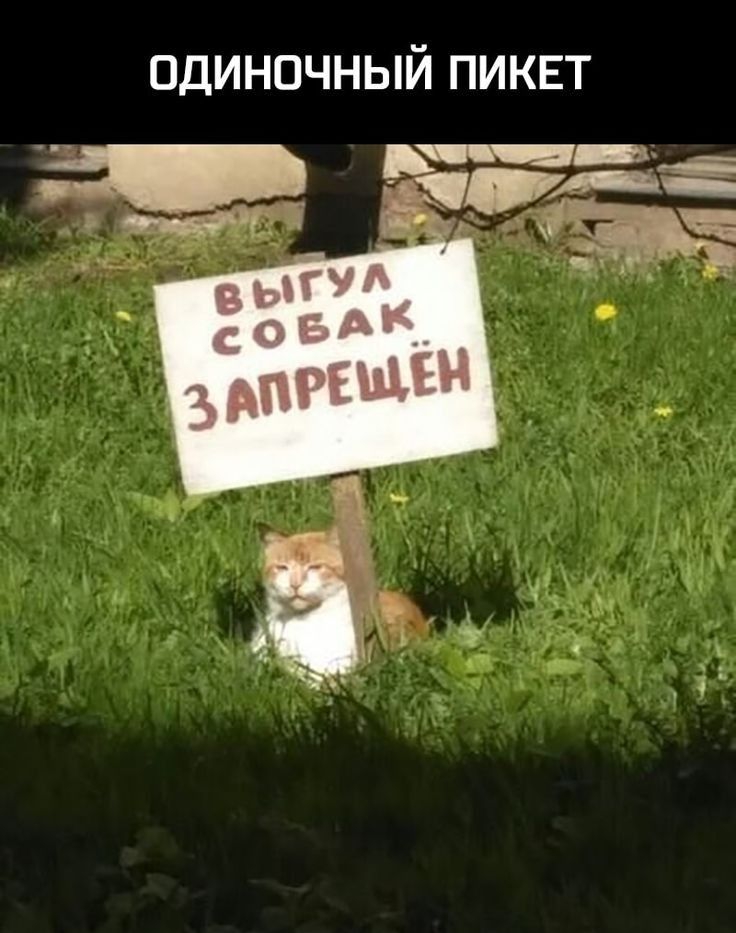ОДИНОЧНЫЙ ПИКЕТ