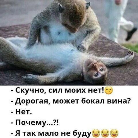 Скучно сил моих нет Дорогая может бокал вина Нет Почему Я так мало не буду
