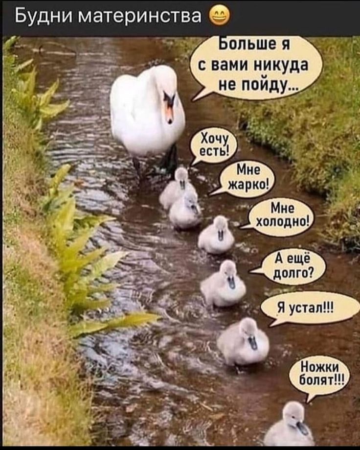 Будни материнства опьше я с вами никуда не поиду Мне _ жарко _ _ Мне А холодно __ А еще долго