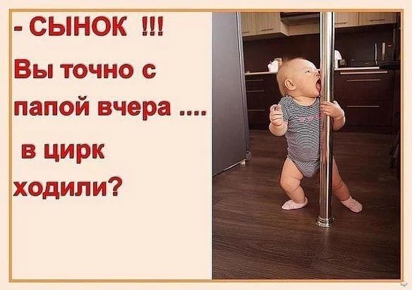 СЫРЮК Вы тч папал чера в цирк ходипи