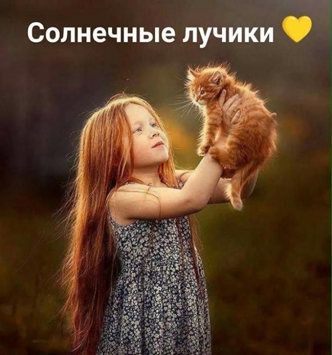 Солнечные лучики