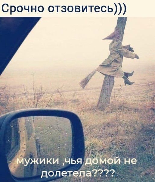 Срочно отзовитесь долетрдат