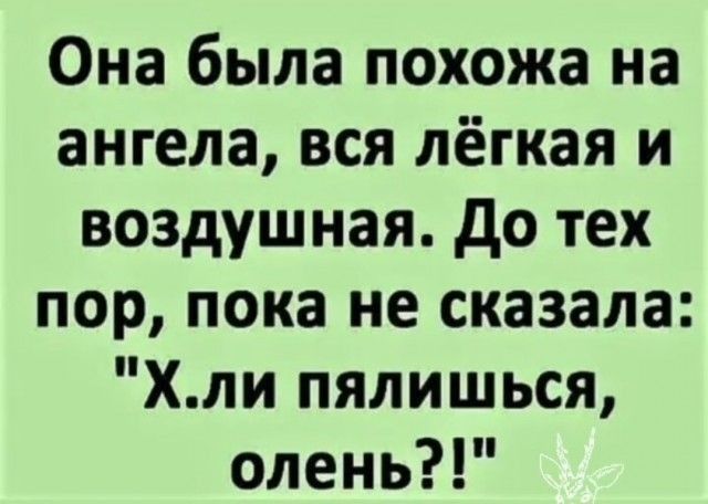 Она была похожа на ангела вся лёгкая и воздушная до тех пор пока не сказала Хли пялишься олень