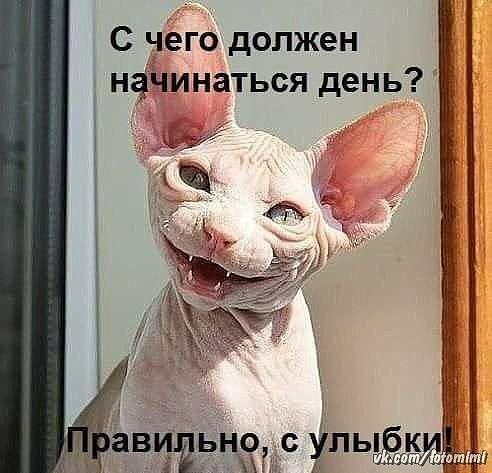 С чего должен нфинаться день