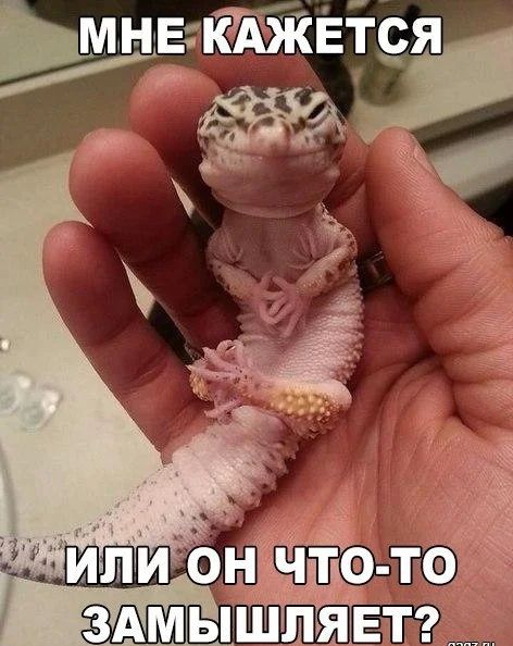 Ёё'е?