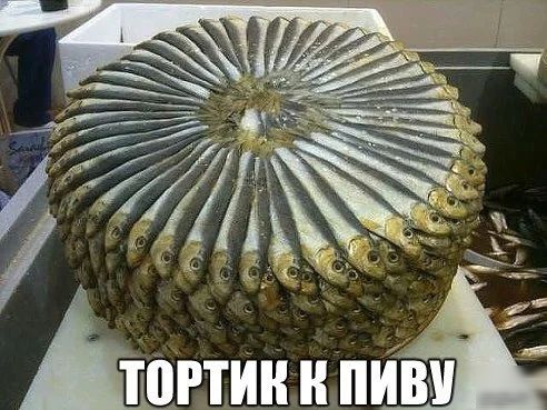 Ьгтин ё пиё