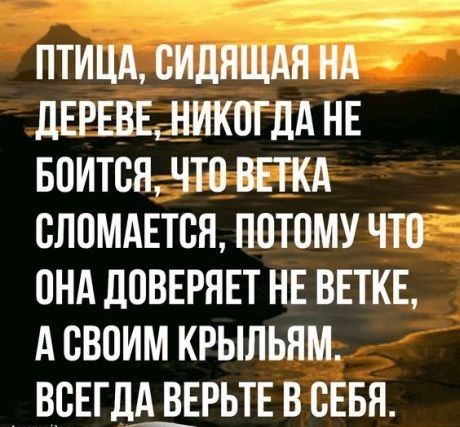 ПТИЦА ВИЛНЩАН НА ПЕРЕВЕНИКОГДА НЕ БОИТСЯ ЧТ0 ВЕТКА СНИМАЕТСЯ ППТПМУ ЧТО ОНА ЛПВЕРНЕТ НЕ ВЕТКЕ А СВОИМ КРЫЛЬЯМ ВСЕГДШРЬТЕ В СЕБЯ