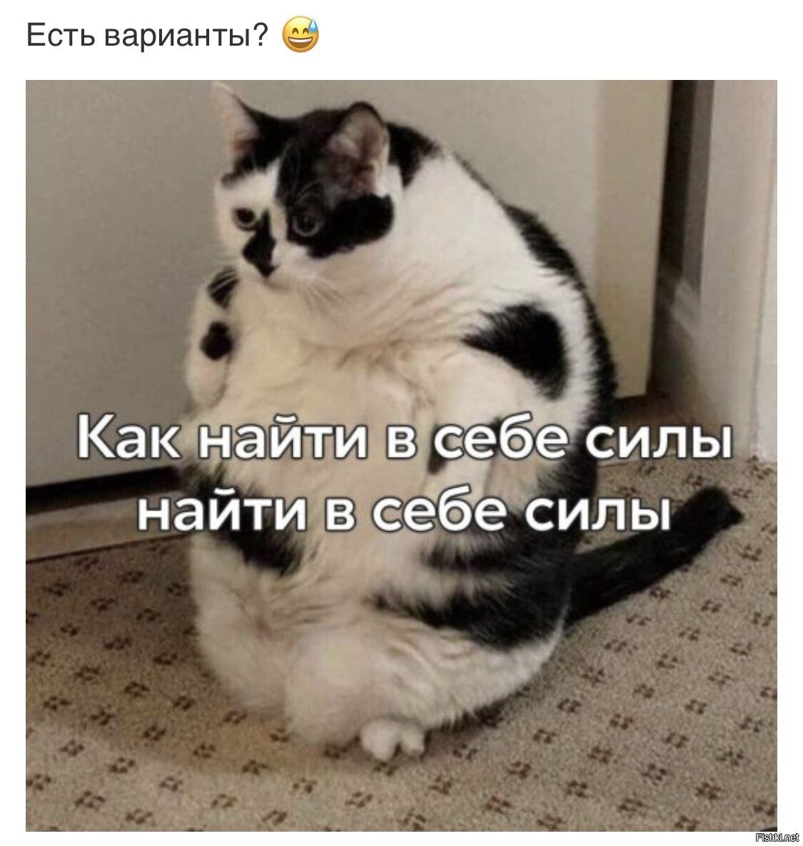 Есть варианты бэе силы ёёес силы Как найти В се се найти в