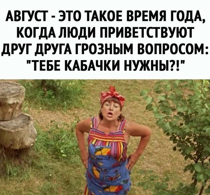 АВГУСТ ЭТО ТАКОЕ ВРЕМЯ ГОДА КОГДА ЛЮДИ ПРИВЕТСГВУЮТ ДРУГ ДРУГА ГРОЗНЫМ ВОПРОСОМ ТЕБЕ КАБАЧКИ НУЖНЫ