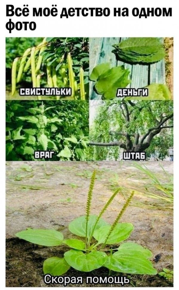 Всё моё детство на одном Ы Щ о М О П я а