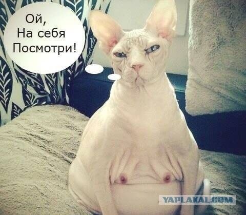 Ой На себя Посмотри
