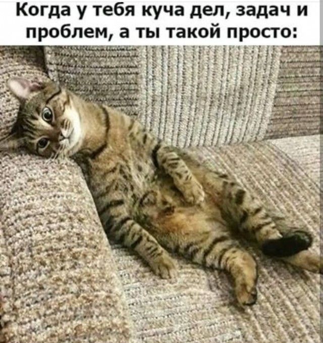 задач и а ты такой просто Когда у тебя куча дел проблем