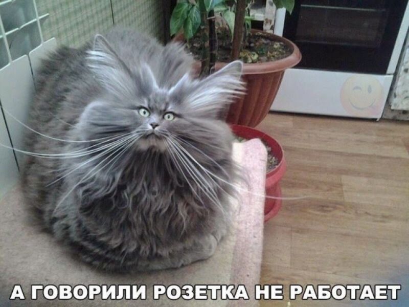 вііории йфзвтм ШЗ ШЁЕ