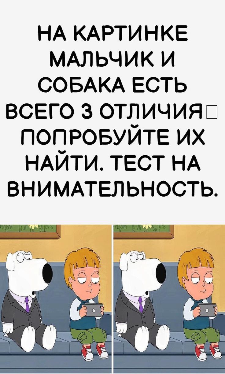 НА КАРТИНКЕ МАЛЬЧИК И СОБАКА ЕСТЬ ВСЕГО 3 ОТЛИЧИЯ ПОПРОБУЙТЕ их НАИТИ тест НА ВНИМАТЕЛЬНОСТЬ