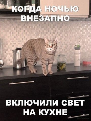 включили свві нд кухне