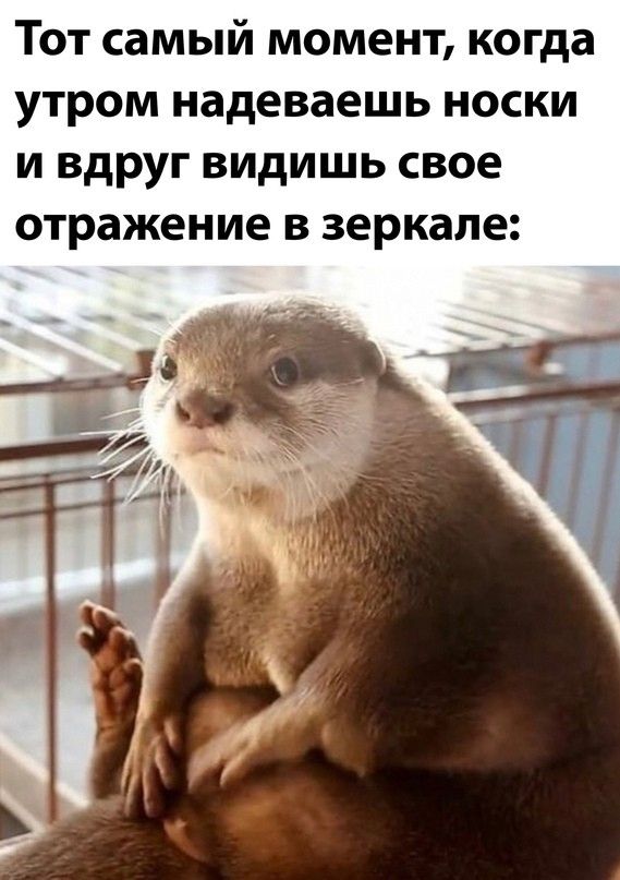 Тот самый момент когда утром надеваешь носки и вдруг видишь свое отражение в зеркале