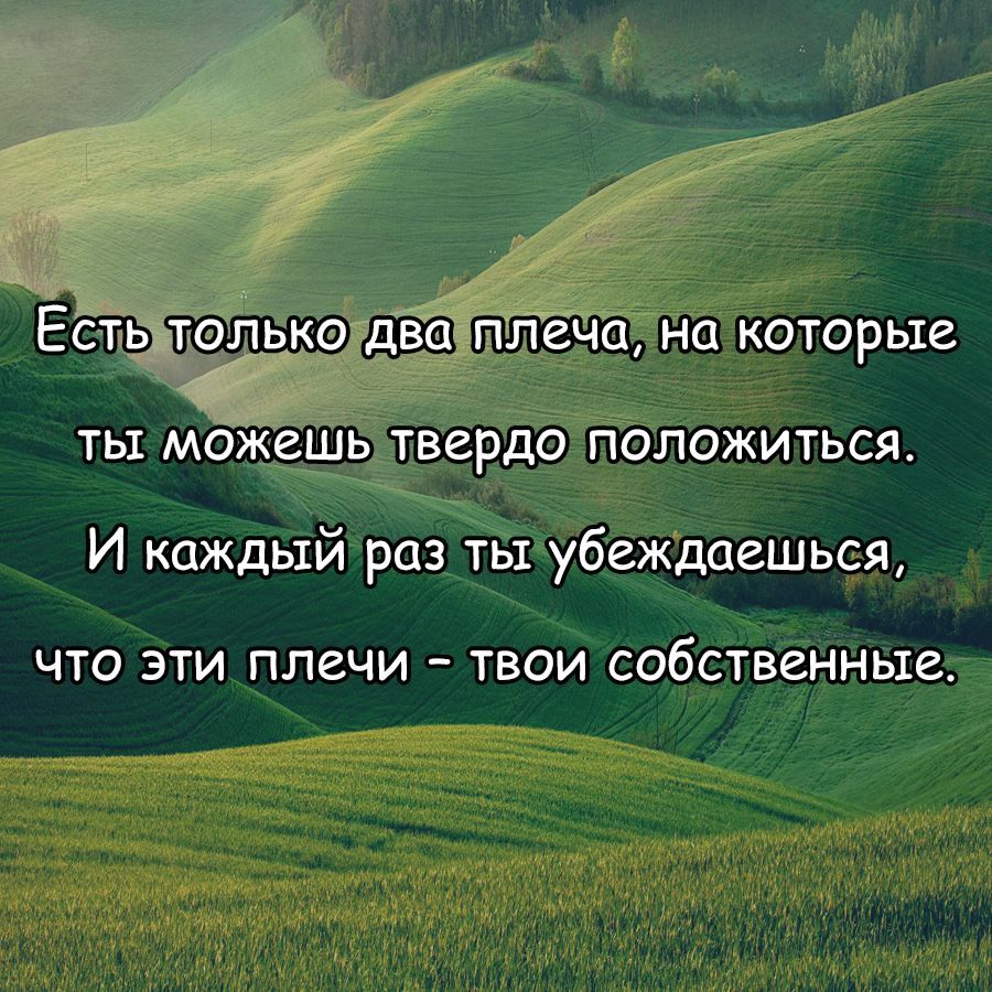 Есть только два плеча на которые ты можешь твердо положиться И каждый раз ты убеждаешься ЧТО ЭТИ ПЛЗЧИ ТВОИ СОбСТВЗННЬіг