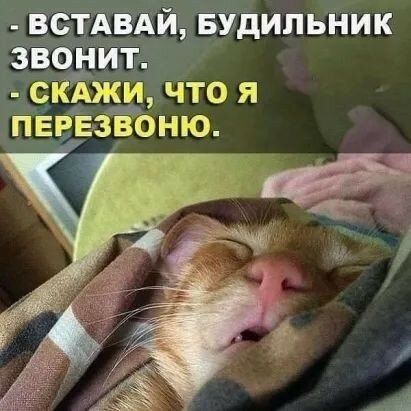 _ встдвдй БУдИЛЬНИК звонит скши что я пвгнзйоню