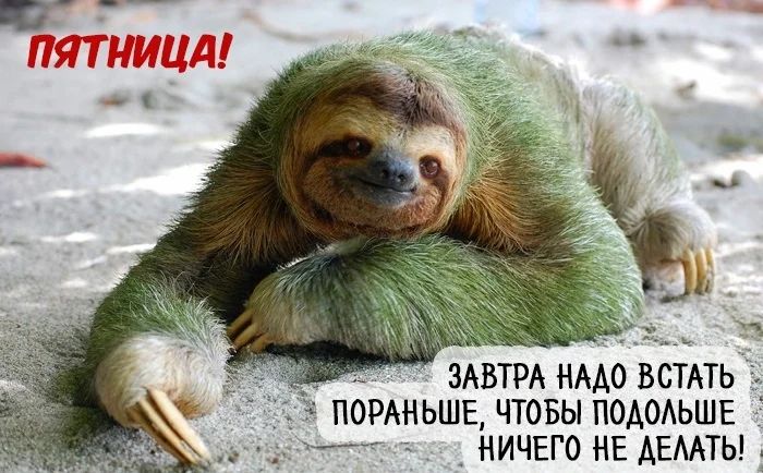 ЗАВТРА НААО ВСТАТЬ ПОРАНЬШЕ ЧТОБЫ ПОАОАЬШЕ _ НИЧЕГО НЕ АЕААТЫ _