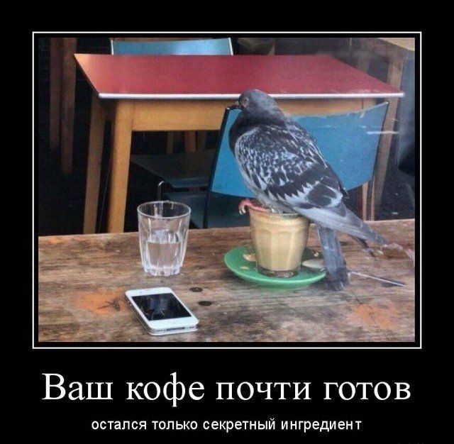 Ваш кофе почти готов остался только секретный ингредиент