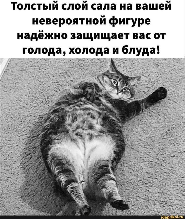 Толстый слой сала на вашей невероятной фигуре надёжно защищает вас от голода холода и блуда