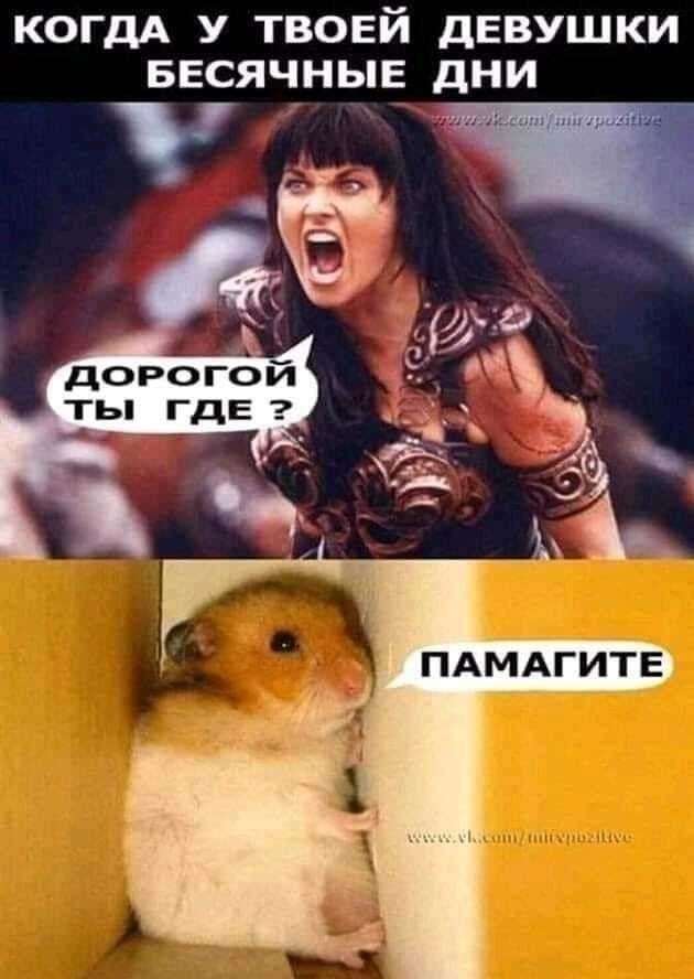 КОГДА У ТВОЕЙ дЕВУШКИ БЕСЯЧНЫЕ_ дНИ