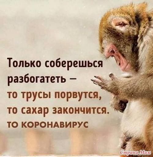 Только соберешься разбогатеть то трусы порвутся то сахар закончится ТО КОРОНАВИРУС _ Уг три и