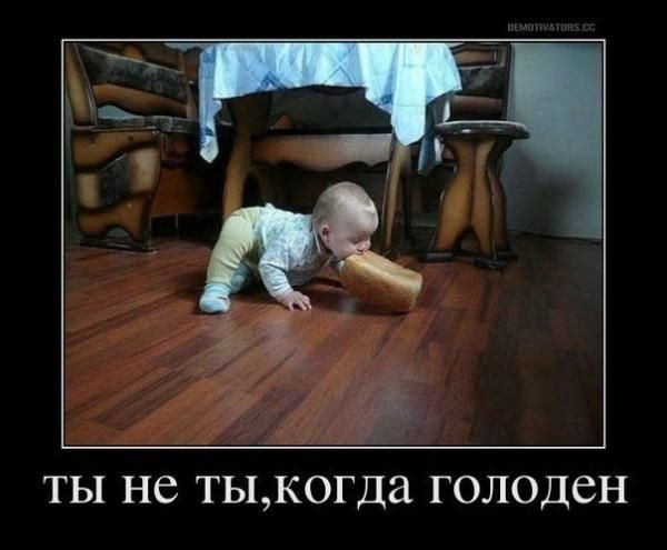 ТЫ НС тьькогда ГОЛОДСН