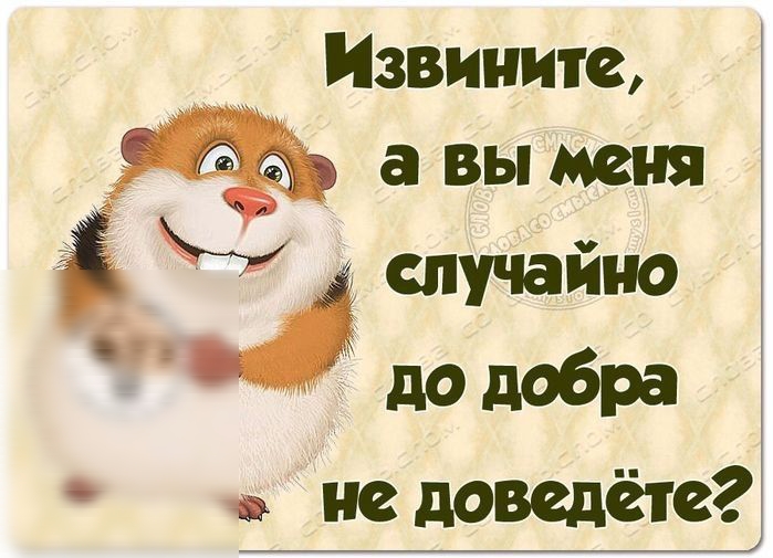 Извините авымеия и случайно додабра недоведёте