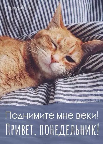 Поьнимите мне ВЭКИ ПРИВЕТ ПОНЕДЕЛЬНИК