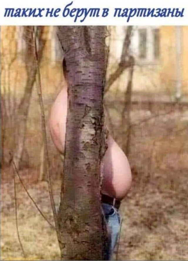 ТПЯКИХНЕ бат В ПЯРЩИЗННЫ _ 775 и 1 цёг Р г