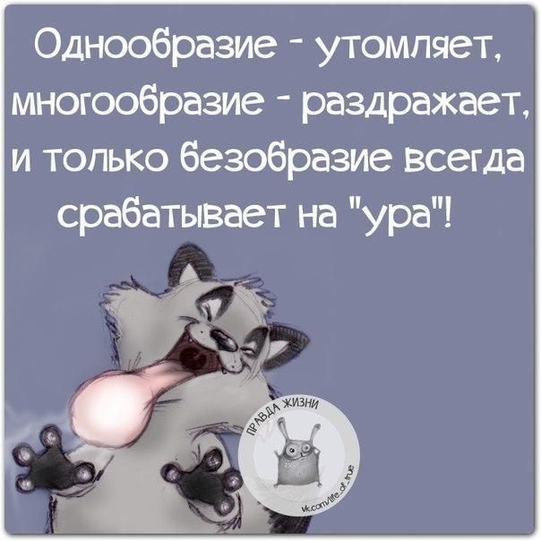 Однообразие утомляет многообразие раздражает и только безобразие всегда срабатывает на ура