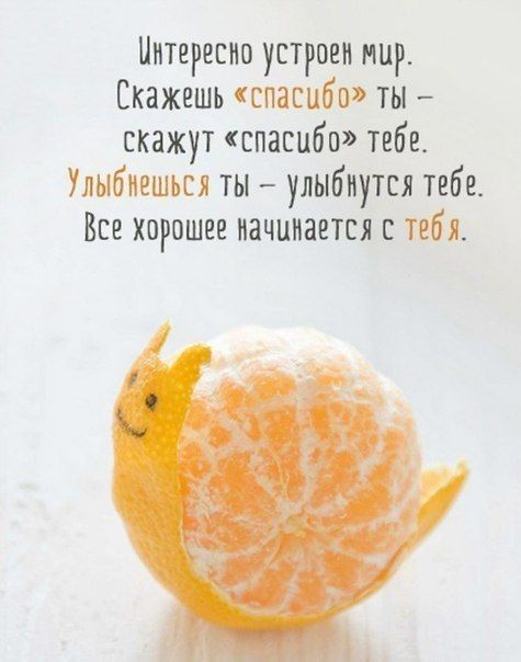 Интересно устроен мир Скажешь ныо ты скажут спасибо тебе не ты улыбнутся тебе Все хорошее начинается с т Ун