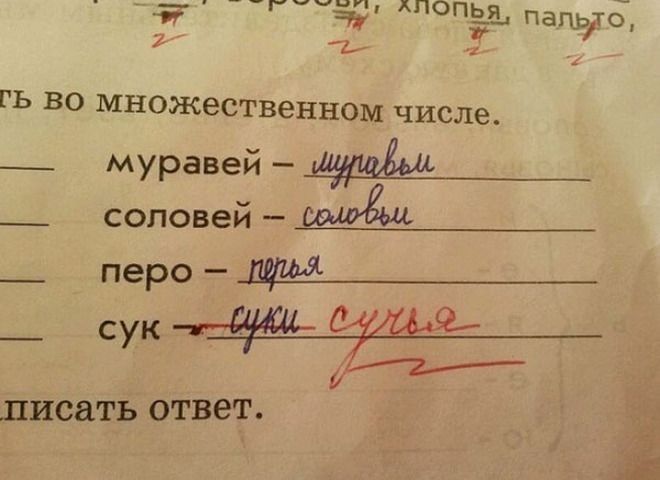 _ чит жпопья гц П3П_ЬТ0 1 1 ГЬ во множественном ЧИСЛЕ _ муравей _ соловей живёш__ _ перо Ь _ СУК писать ОТВВТ