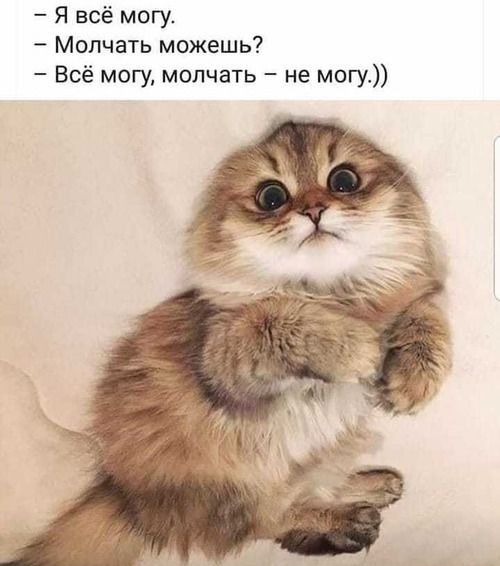 Я всё могу Молчать можешь Всё могу молчать не могу