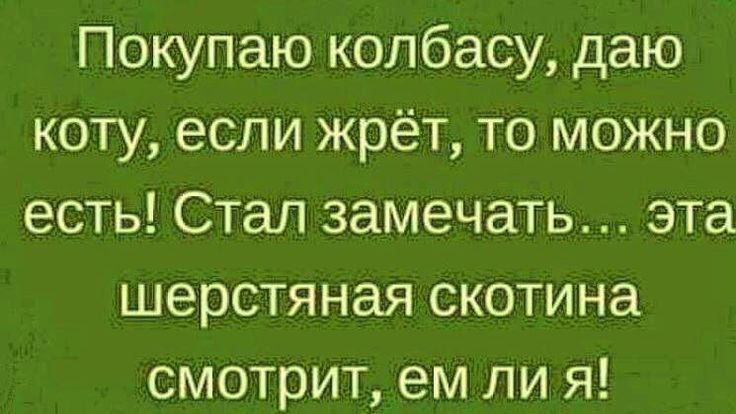 Покупаю колбасу даю коту если жрёт то можно есть Стал замечать эта шерстяная скотина смотрит ем ли я