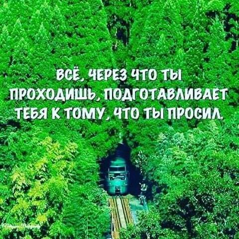 _ до чгрвзчтоты Дт игвхмишь поАготАвяивдгт к тому что тьгпгосип