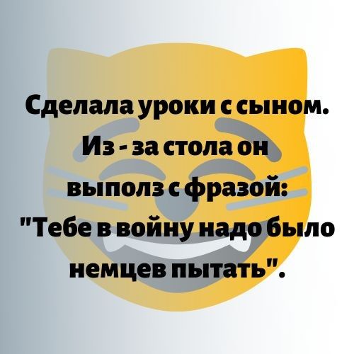 Сделала уроки сыном Из за стола он выполз фразой Тебе в войну надо Было немцев пытать